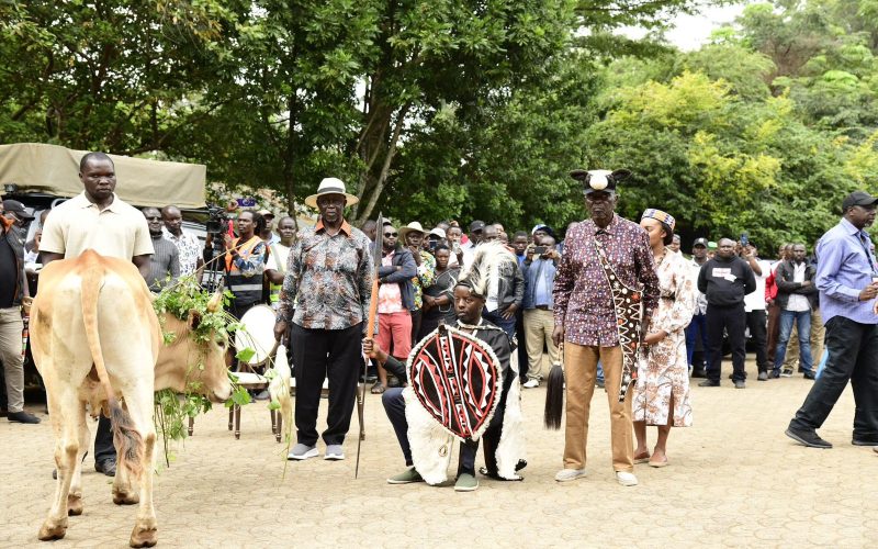 Raila Jr crowned as Raila Odinga family head in Luo cultural ceremony