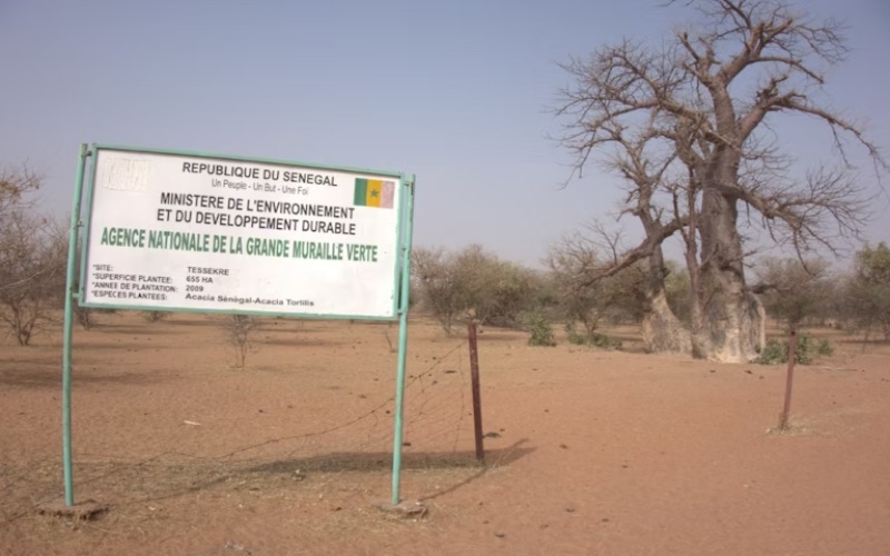 Africa’s ‘great green wall’ is stalling: In Senegal very few planted areas show progress