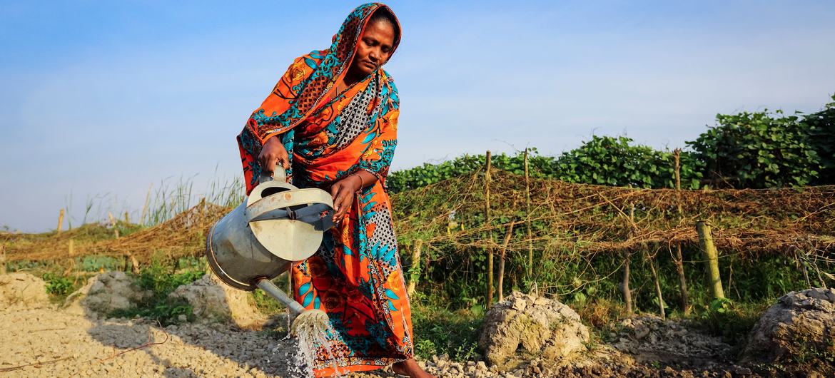 Why are over 670 million people going hungry?