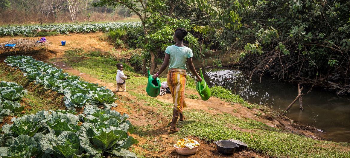 The ‘food heroes’ cultivating global change