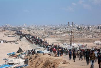 Gaza: Aid teams repeat calls for unhindered access to stricken enclave