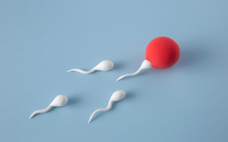Study reveals hidden genetic risks in sperm of older men