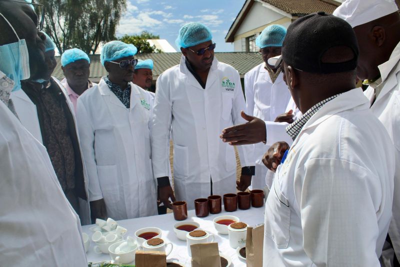 Farmers accuse KTDA of favouring Eastern regions in bonuses