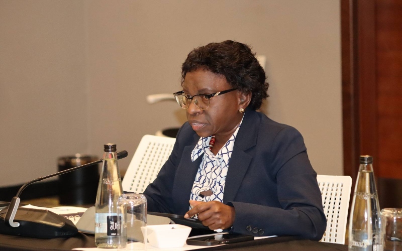 Auditor General Nancy Gathungu flags gaps, delays in budget review