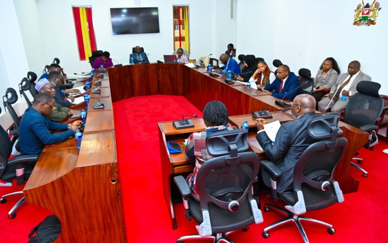 Senate demands swift compliance with disability access in public offices