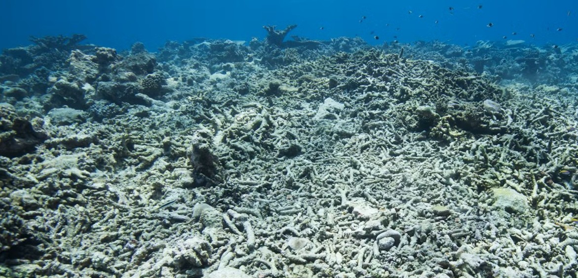 Race against time as scientists urge immediate action on climate tipping points