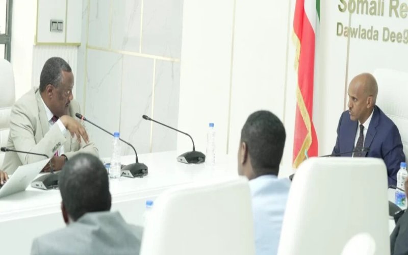 Somali Region frees ‘121 unlawfully detained’ people, ‘pardons’ two jailed journalists, Rights Commission says