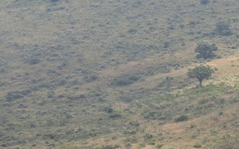 KFS refutes land grabbing claims at Menengai Crater, says boundary gazetted