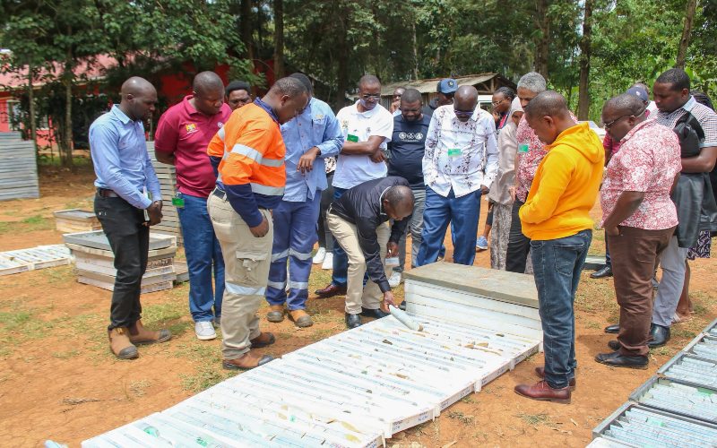 British firm discovers gold worth Sh683 billion in Kakamega
