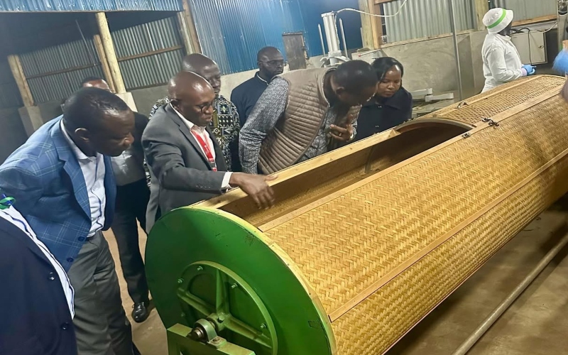 National Assembly probes tea bonus disparities after farmer complaints