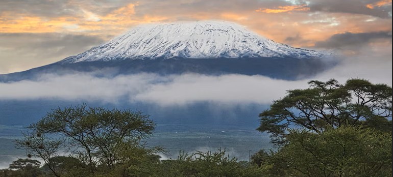 Kilimanjaro’s vanishing nature: How people, not climate change, are destroying Africa’s iconic mountain
