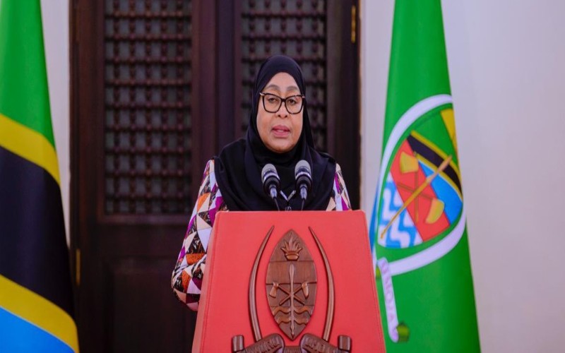 President Samia warns disputed election tainted Tanzania’s reputation, urges local resource mobilisation
