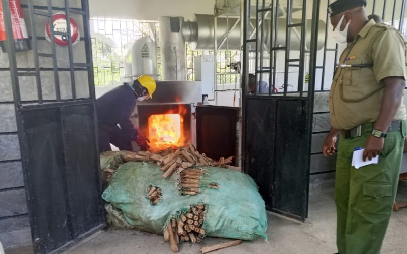 Busia destroys Sh21.9 million worth of heroin, bhang in anti-drug operation