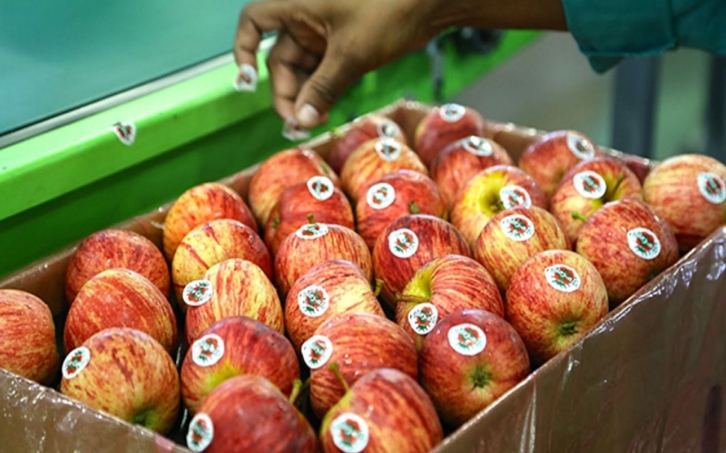 Rwanda lifts eight-year ban on South African agricultural products