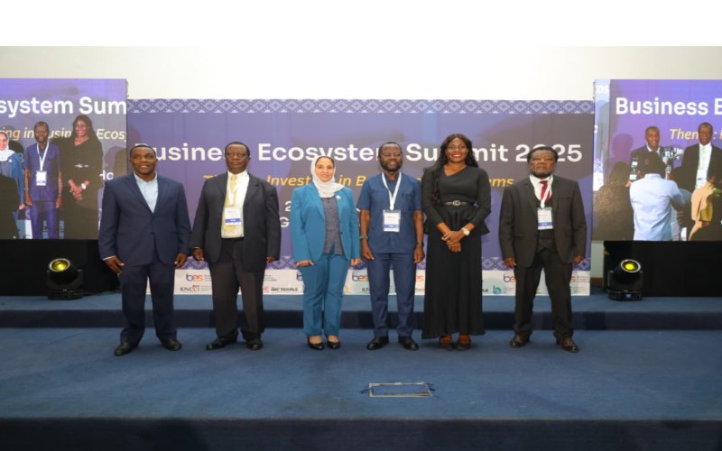 SMEs sound alarm over rising failure rates amid investment gaps