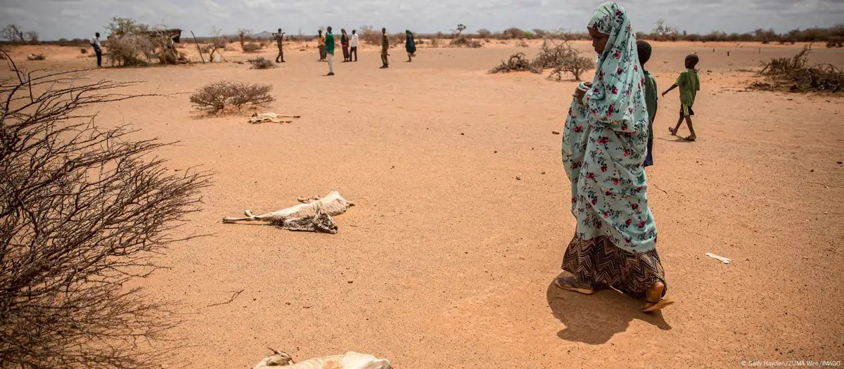 ‘No rain, no food, no life’: Amnesty slams global inaction as Somalia’s drought turns deadly