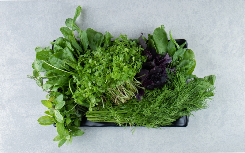 How to keep fresh herbs alive and flavourful for longer