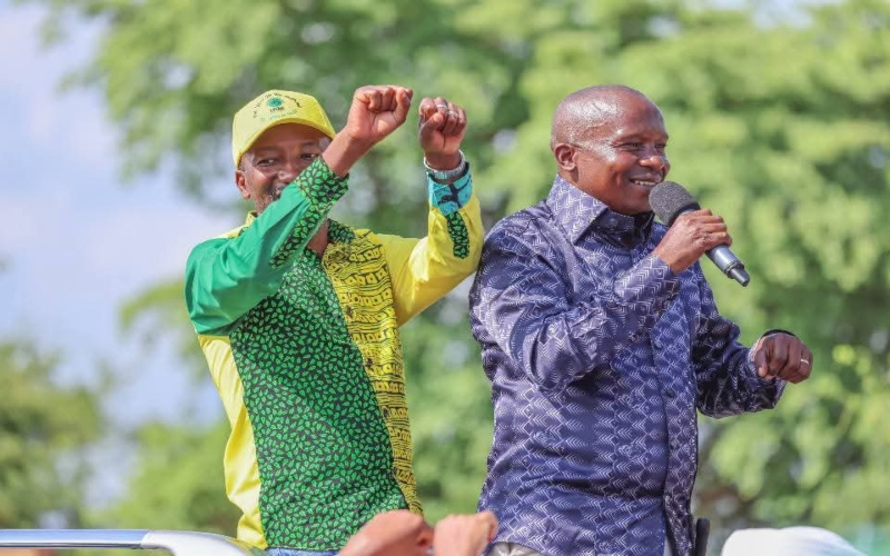 UDA’s Leo Wa Muthende wins Mbeere North parliamentary seat