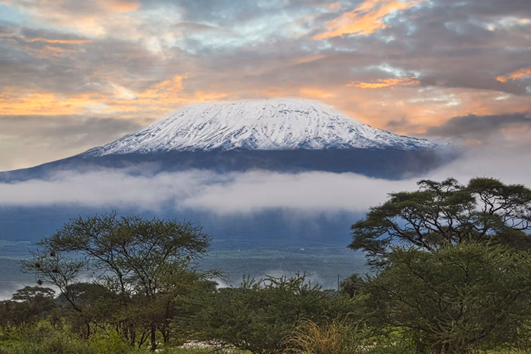 75 per cent of Kilimanjaro’s natural plants have been wiped out – and climate change isn’t the biggest threat