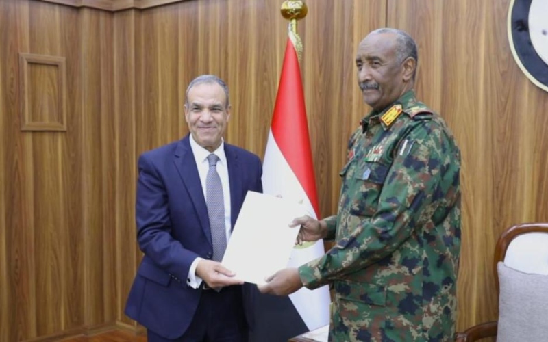 Egypt rejects any attempts to divide Sudan: FM