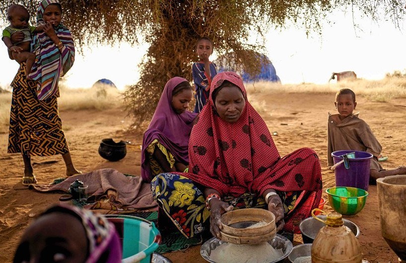 African Union urges swift global action as Mali crisis deepens