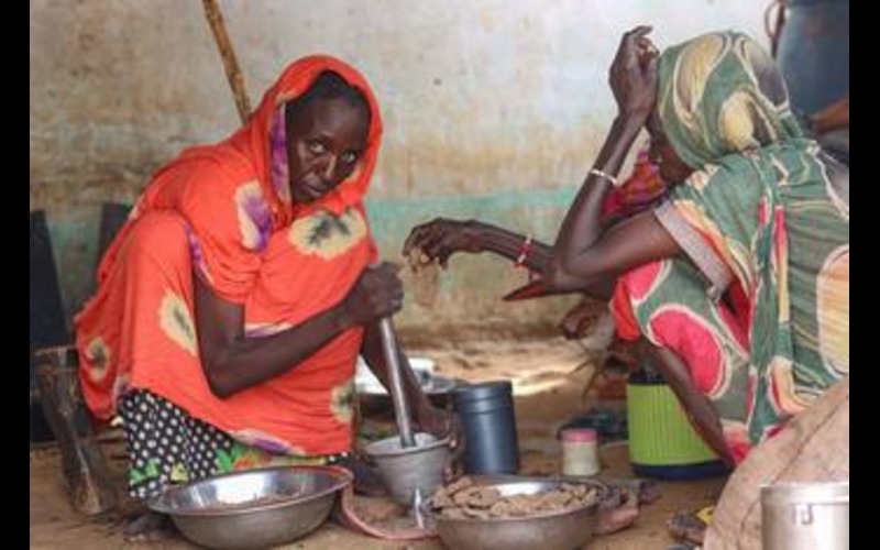 Tens of thousands fleeing on foot amid atrocities in Sudan’s El Fasher