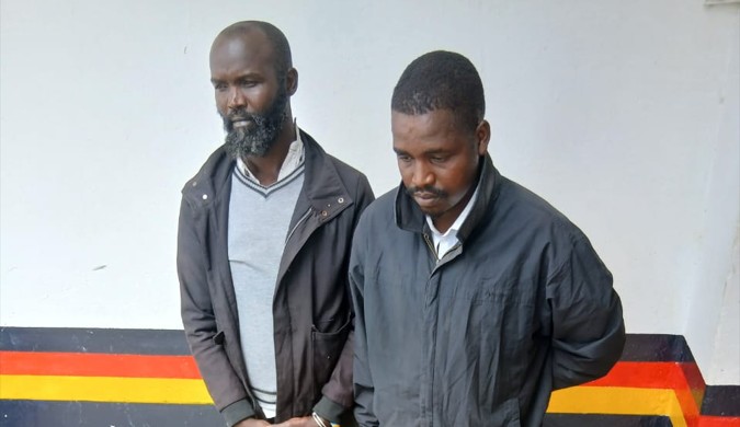 Wildlife traffickers arrested in Laikipia as police seize 18kg of elephant ivory worth Sh3.6 million