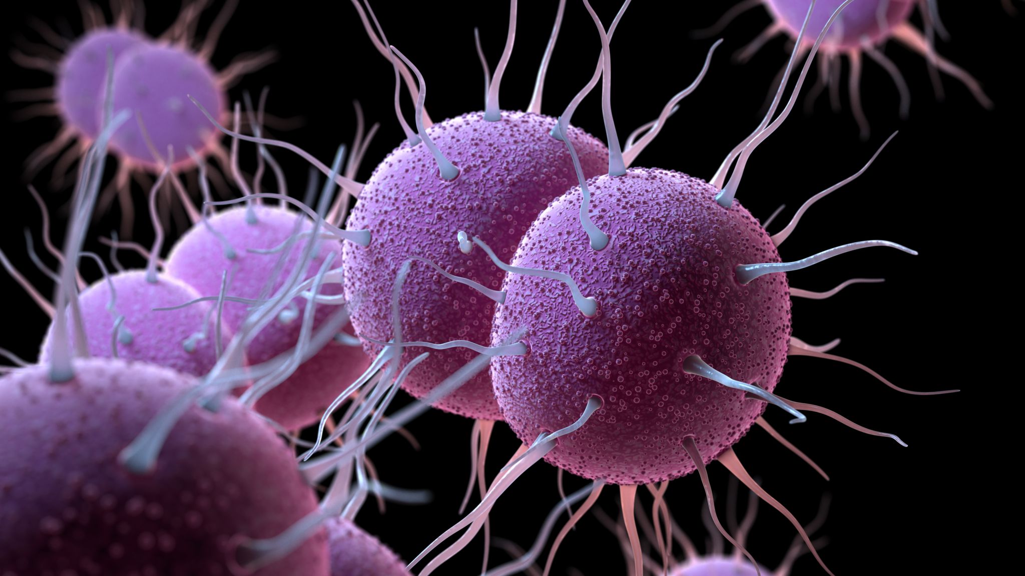 WHO warns of soaring antibiotic resistance in gonorrhoea globally
