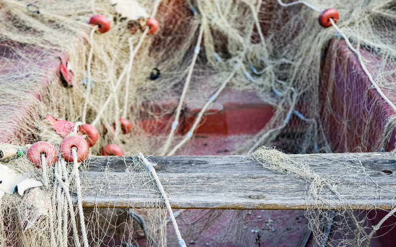 MPs pledge support for Naivasha fishing community amid pollution, oversight concerns