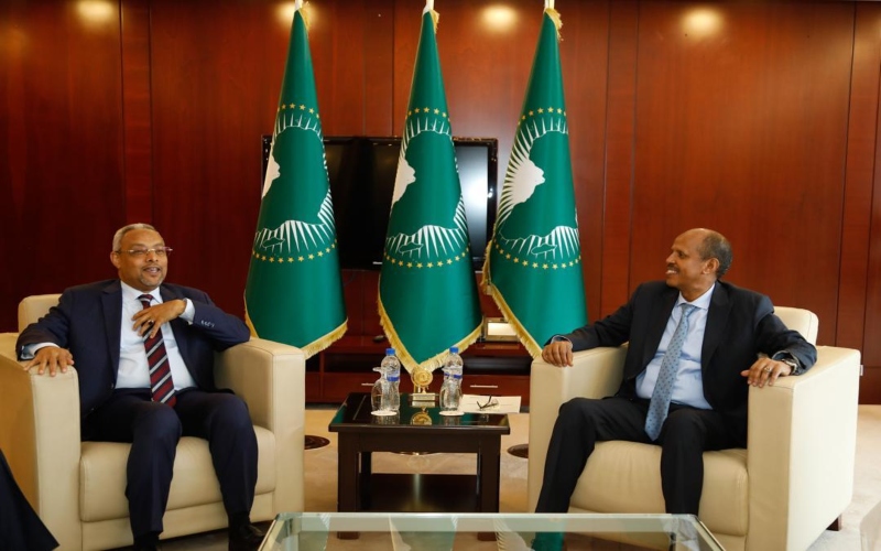 Djibouti confirms Eritrea’s formal exit from IGAD regional bloc