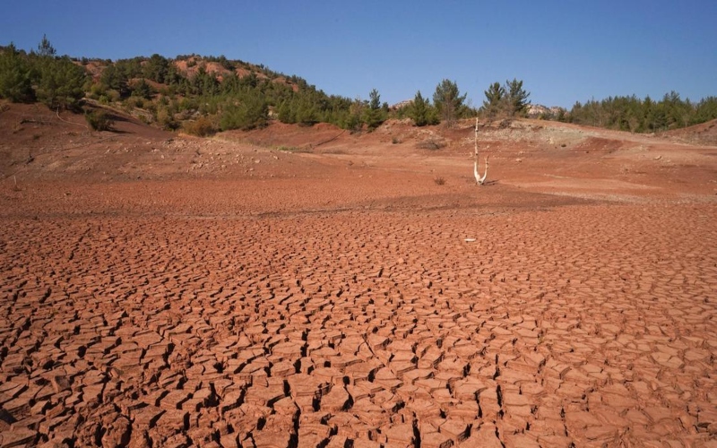 Arab region among world’s most climate-vulnerable, World Meteorological Organisation finds