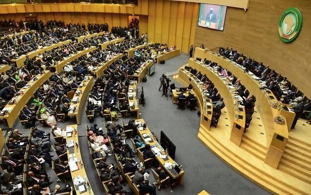 AU summit seeks urgent action to end AIDS, TB and health inequalities in Africa