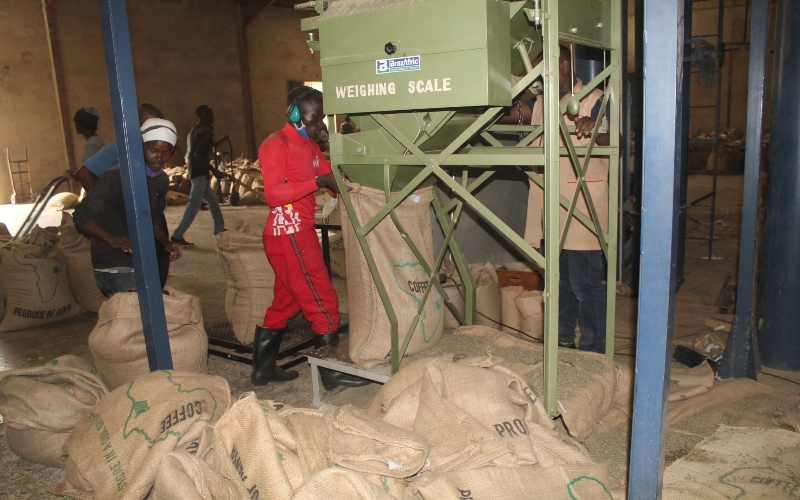 MPs question Sh1 billion unsupported spending, ethnic imbalance at NKPCU