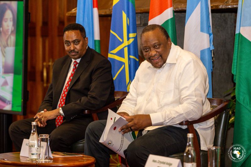 Uhuru tells youth to stop waiting, step into leadership at IGAD conference