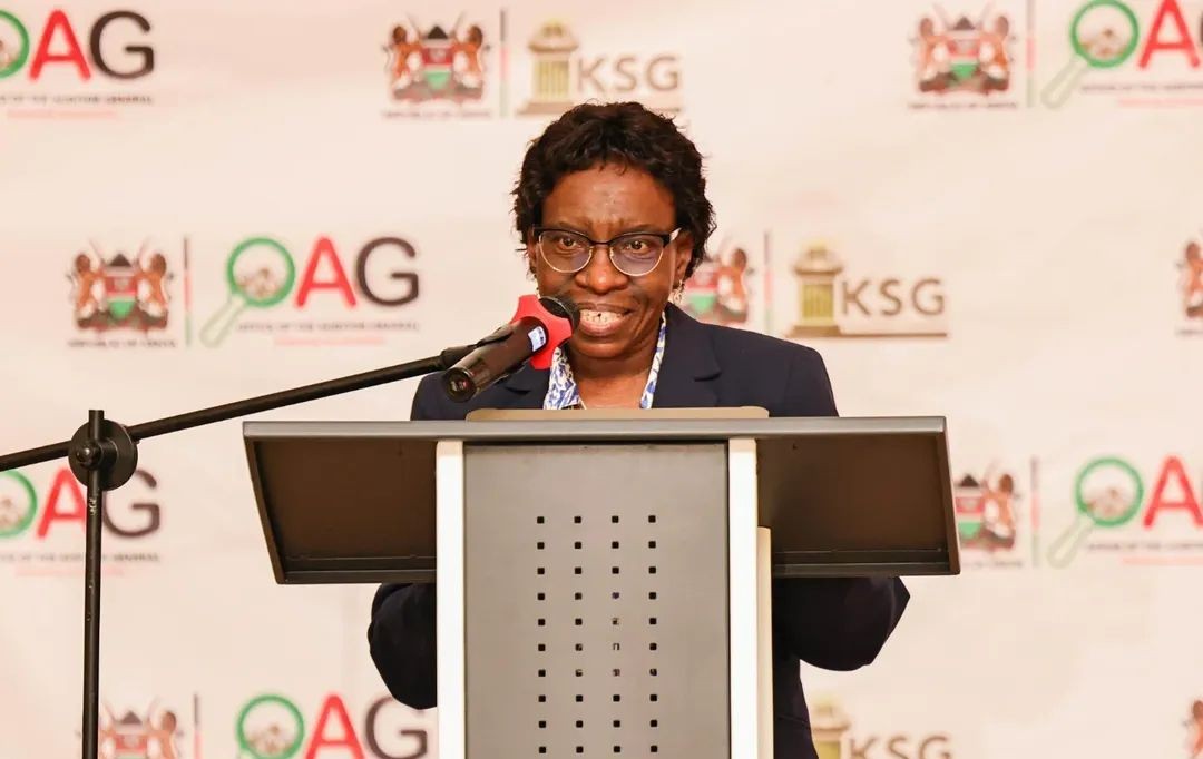 Only two of 63 performance audits discussed by MPs since 2012 - Auditor General