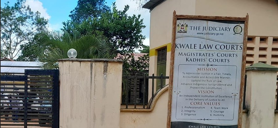 Seven Lunga Lunga children’s homes to be closed over child trafficking allegations