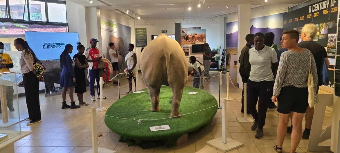 Museums go fully digital as National Museums of Kenya unveils new ticketing system