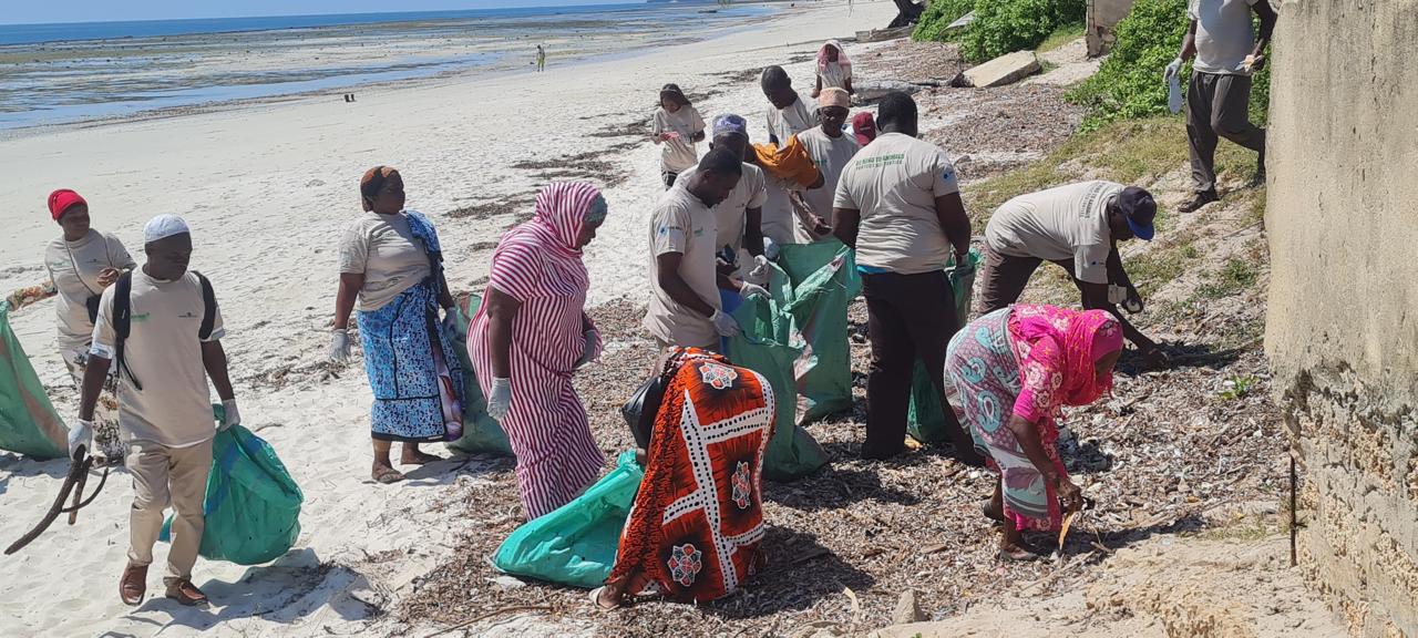 Msambweni conservationists sound alarm as sea turtle threats intensify along Kwale Coast