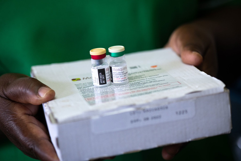 Malaria: Drug resistance and underfunding threaten progress towards eliminating killer disease