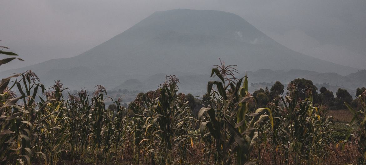 UN hails DR Congo-Rwanda peace deal amid ongoing hostilities in the east