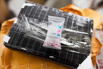 Haiti’s Record 1,045kg Cocaine Seizure: What You Need to Know