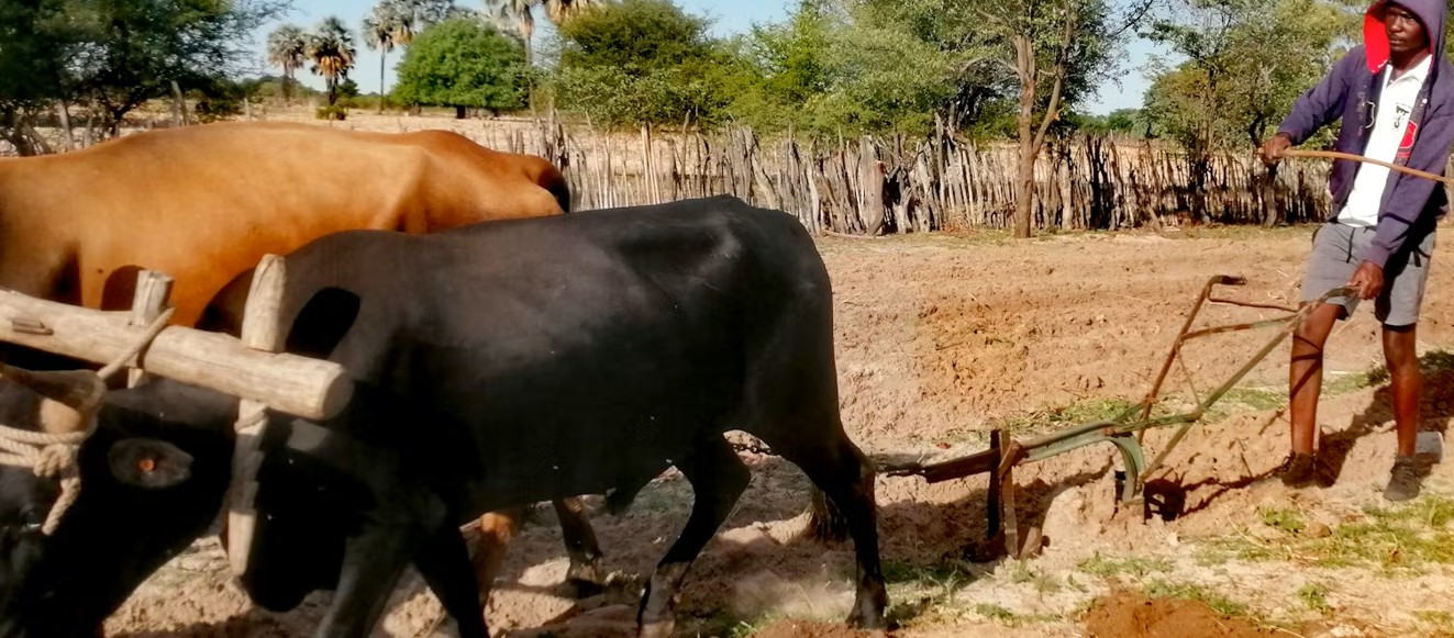 African land policy reforms benefit women and communities, but 18-country review reveals key gaps