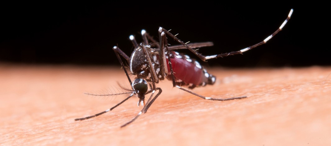 Malaria fight at risk as drug resistance spreads despite new tools saving millions