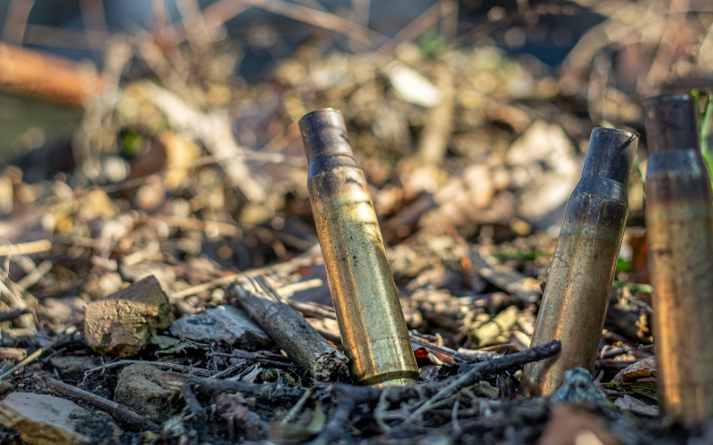 Most Kenyans killed by police were shot in the back while fleeing - IMLU report