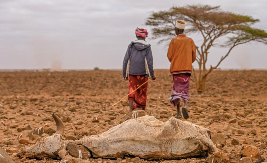 Kenya’s crisis-level hunger to persist to September despite strong rains - report