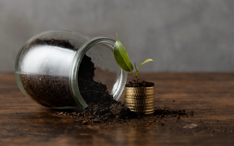 Investors, project developers jittery over Kenya's carbon credit ...