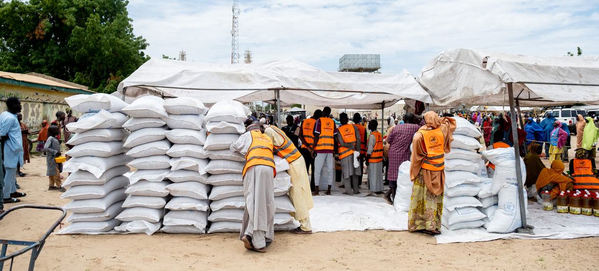 UN warns of spiralling hunger crisis in northern Nigeria as over 17 million face acute food insecurity
