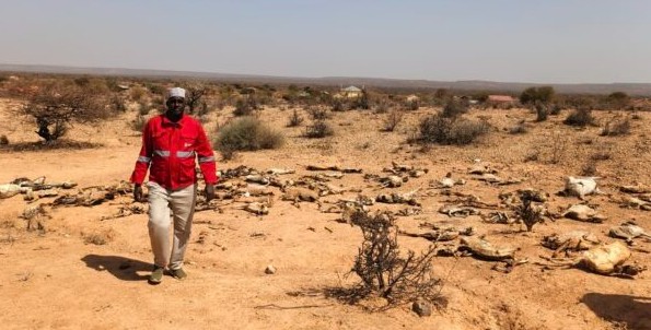 East Africa hunger crisis deepens as 45 million struggle for food - report