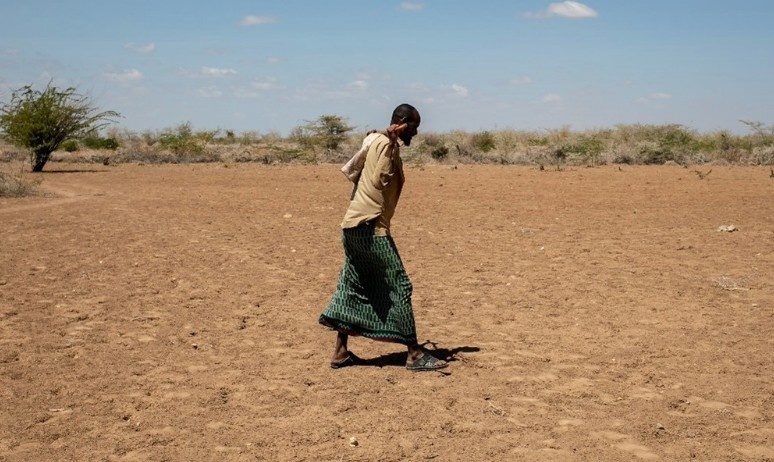 Experts urge early warning investments to avert climate disasters in Horn of Africa