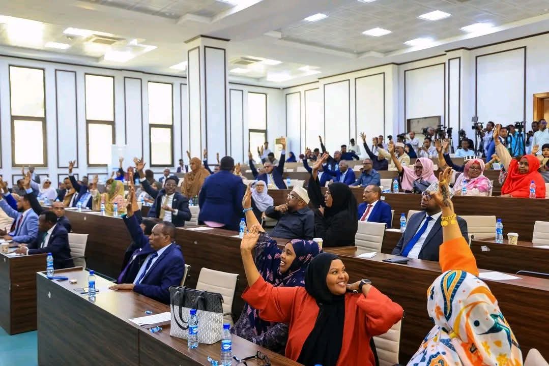 Somalia moves beyond provisional charter as parliament approves new constitution